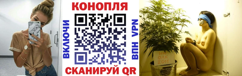 Бошки марихуана конопля  ОМГ ОМГ маркетплейс  Хвалынск  купить наркоту 
